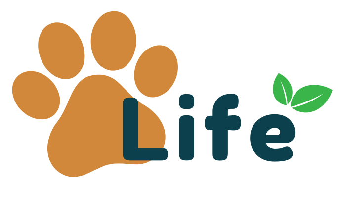 PawfecrLife - Your pet portal